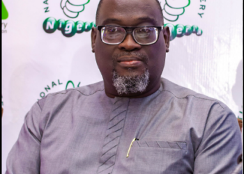Developing Nigeria’s Gaming Industry Growth Potential
