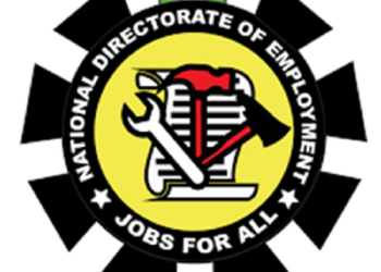  How NDE Proffers Innovative Solutions To Youth Unemployment