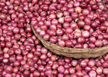 Nigeria Loses Over N3bn Onion Yearly – NOPMAN