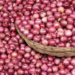 Nigeria Loses Over N3bn Onion Yearly – NOPMAN