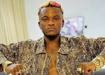 Portable Praises Federal Gov’t, Police In New Single