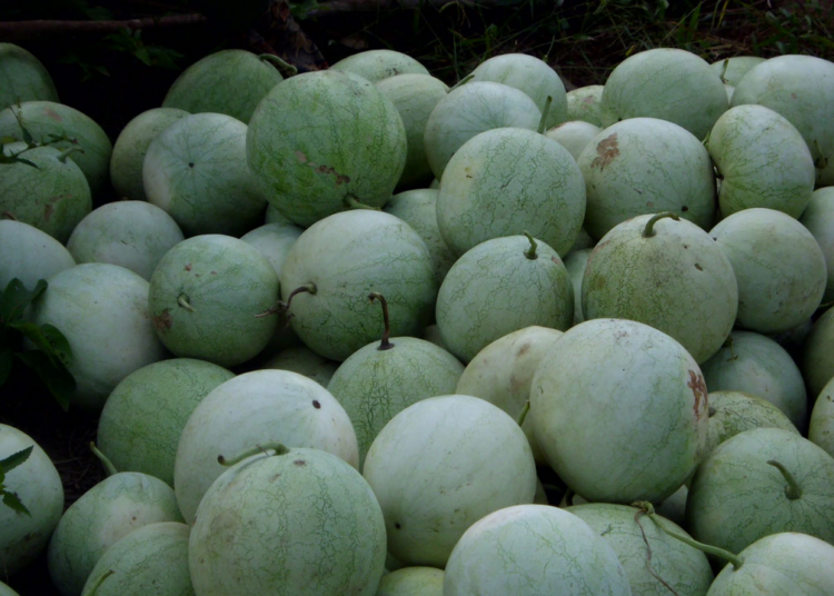 bauchi man beaten to death for stealing watermelon
