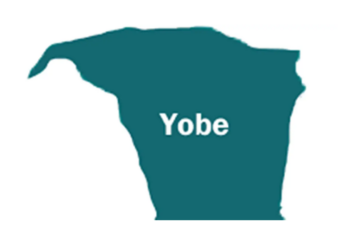 Meningitis Kills10 In Yobe