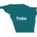 Meningitis Kills10 In Yobe