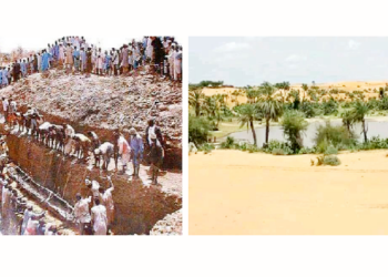 Inside Yobe’s 15 Tourist Attractions, Cultural Events And The Incredible 8000yrs Dufuna Canoe