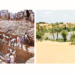 Inside Yobe’s 15 Tourist Attractions, Cultural Events And The Incredible 8000yrs Dufuna Canoe