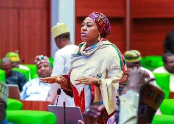10th NASS: Onuoha Not Eligible To Contest Speaker Or Deputy Position – CSO