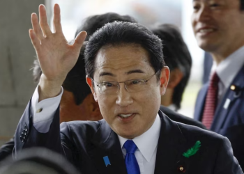 Japan Moves To Broaden Economic Ties With Africa