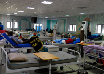 Borno Wins $1.2m In Leadership Challenge For Primary Healthcare