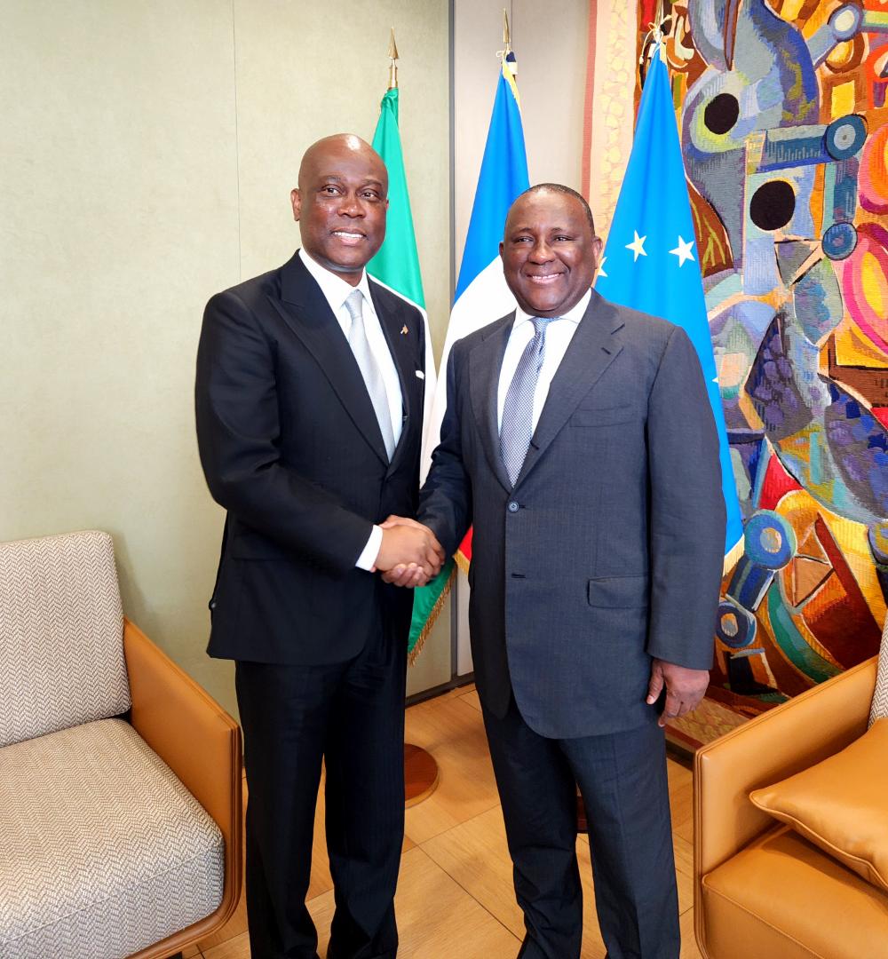 Photo of Wigwe succède à Rabiot à la présidence du French-Nigerian Business Council