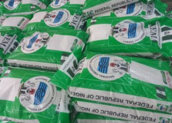 Sudan: NEMA Sends 100 Bags Of Rice, Others To Stranded  Nigerians