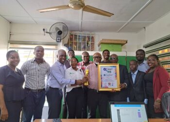 Nigerian Renewable Energy Coy Bags African Quality Achievement Awards