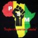 PSM Hails President Tinubu, Shettima Laud Decision to Review Naira Redesign Policy 5 PSM Hails President Tinubu, Shettima Laud Decision to Review Naira Redesign Policy