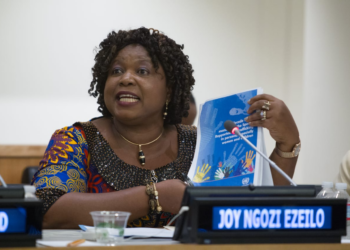 Prof Ezeilo: Advocating For Women Inclusion