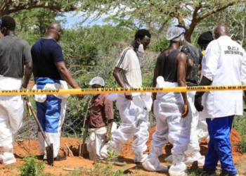 Ondo Coastal Communities Lament Ordeal By Water Hyacinth