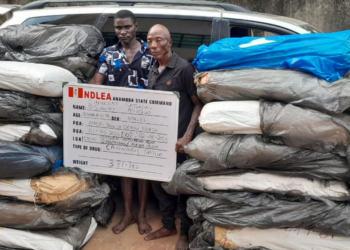 NDLEA Seizes 8,852kg Drugs Consignment In Lagos