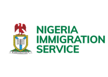 NIS Boss Blames Irregular Migration On Strict Visa Regime