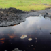$12bn Required To Clean Oil Pollution In Nigeria – Report