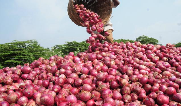 Onions