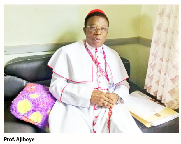 Borrowed System Has Damaged Nigeria's Education – VC 1 Prof. Obeka Samuel Sunday
