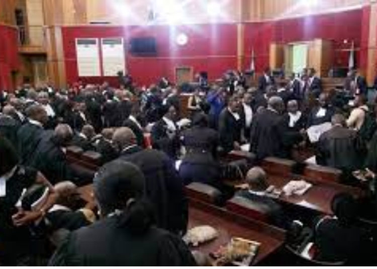 SAN Backs Calls For Live Broadcast Of Presidential Election Petition Proceedings 1 Untitled design 2023 05 11T131934.255