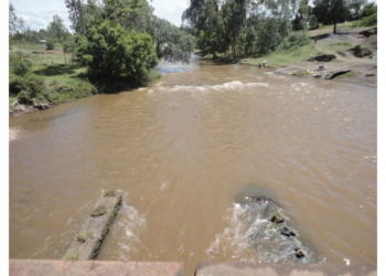 Student’s Body Found Floating In River