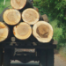 ‘Tackle Deforestation, Reserve Depletion By Illegal Timber Loggers In C/River’ 5 ‘Tackle Deforestation, Reserve Depletion By Illegal Timber Loggers In C/River’
