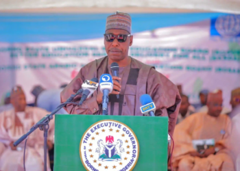 Borno To Start Afternoon Primary, Secondary Education System
