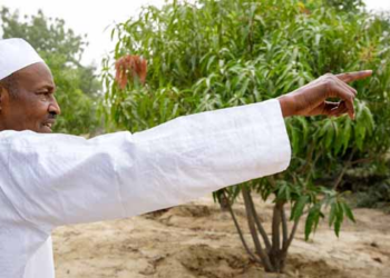 7 Days To Go… Buhari Shifts Gear