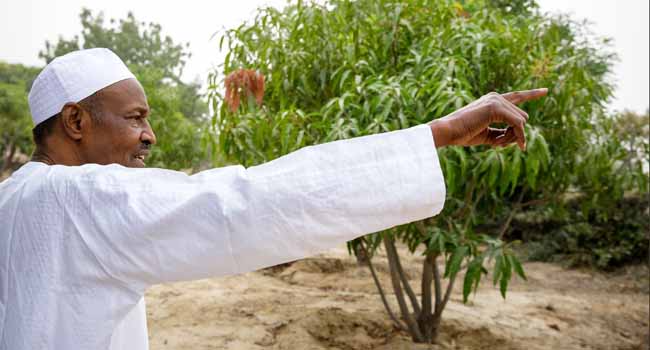 7 Days To Go... Buhari Shifts Gear 1 buhari in daura 3