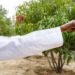 7 Days To Go… Buhari Shifts Gear