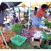 Food Crises: Research Bodies Urge Proactive Response From Federal Govt 5 Food Crises: Research Bodies Urge Proactive Response From Federal Govt