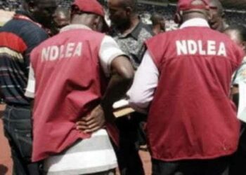 NDLEA Seizes 8,852kg Illicit Drugs After Gunfight In Lagos