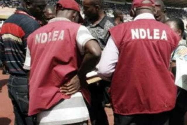 NDLEA Nabs 2 Businessmen With 193 Cocaine Pellets At Abuja Airport 1 images 4