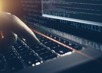 Conquering Marauding Internet Fraudsters Through Vigilance