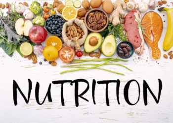 Why Nutrition Is Critical To Human Development
