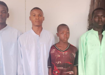 Police Arrest 5 ‘Shilla’ Gangsters In Adamawa