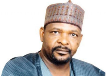 10th NASS Won’t Be Rubber Stamp – Ningi