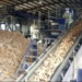 Federal Govt Trains Benue Farmers On Cassava Processing, Packaging