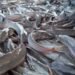 Federal Govt, FAO Launch African Catfish Value Chain Strategy