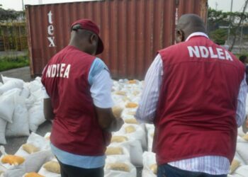 NDLEA Intercepts 76.9kg ‘Loud’ From Canada