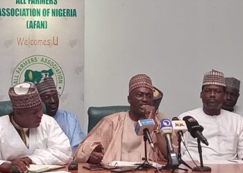 Over 10m Nigerian Farmers Adopt Tingo Mobile Banking App — AFAN 