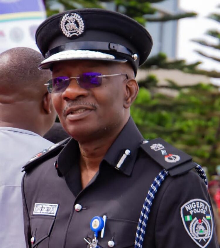 Acting IGP Kayode Egbetokun