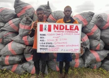 NDLEA Intercepts 5,344kg Imported Skunk Consignments In Lagos
