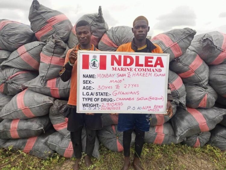 Ndlea