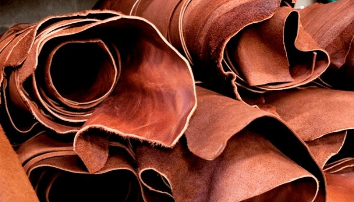 Leather Fair To Strengthen Value Chain In Global Leather Industry 1 Leather Export