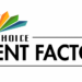 MultiChoice Set To Hunt For New Talents 5 MultiChoice Set To Hunt For New Talents