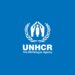 Food Insecurity: 4.3m People Worst Hit In Borno, Adamawa, Yobe – UNHCR 5 Federal Govt, UNHCR Seek Global Action On Plight Of 110m Refugees