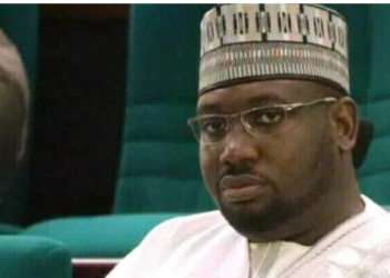 Jaji Can Transform Green Chamber As Speaker –Group