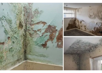 Ways To Reduce Maintenance Cost On Building Dampness